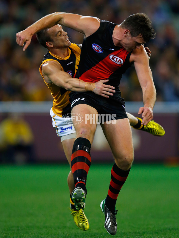 AFL 2013 Rd 23 - Essendon v Richmond - 301674