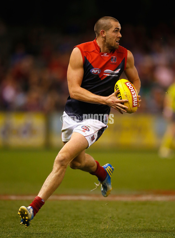 AFL 2013 Rd 23 - Western Bulldogs v Melbourne - 301984