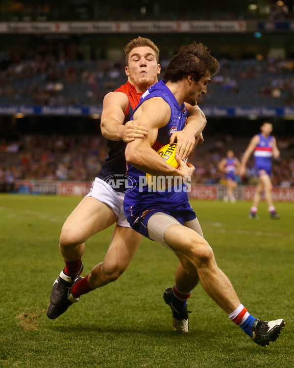 AFL 2013 Rd 23 - Western Bulldogs v Melbourne - 301992