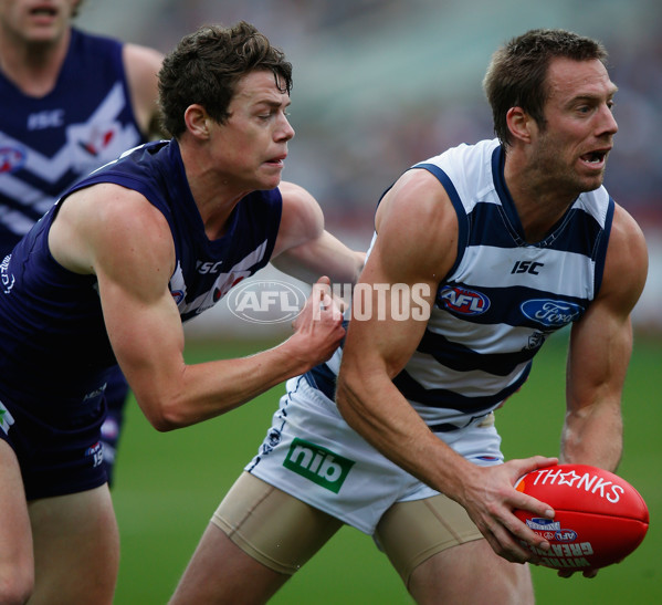 AFL 2013 2nd Qualifying Final - Geelong v Fremantle - 302375