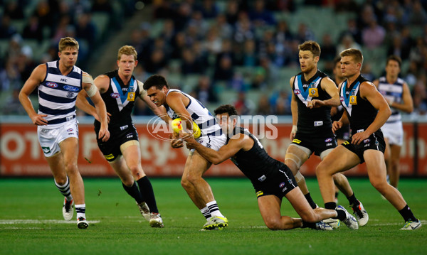 AFL 2013 2nd Semi Final - Geelong v Port Adelaide - 303333