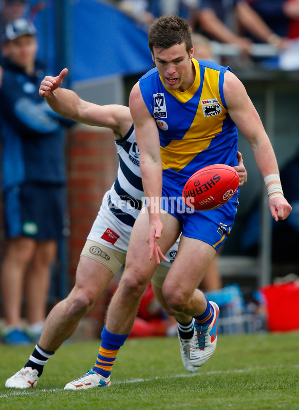 VFL 2013 2nd Preliminary Final - Geelong v Williamstown - 303510