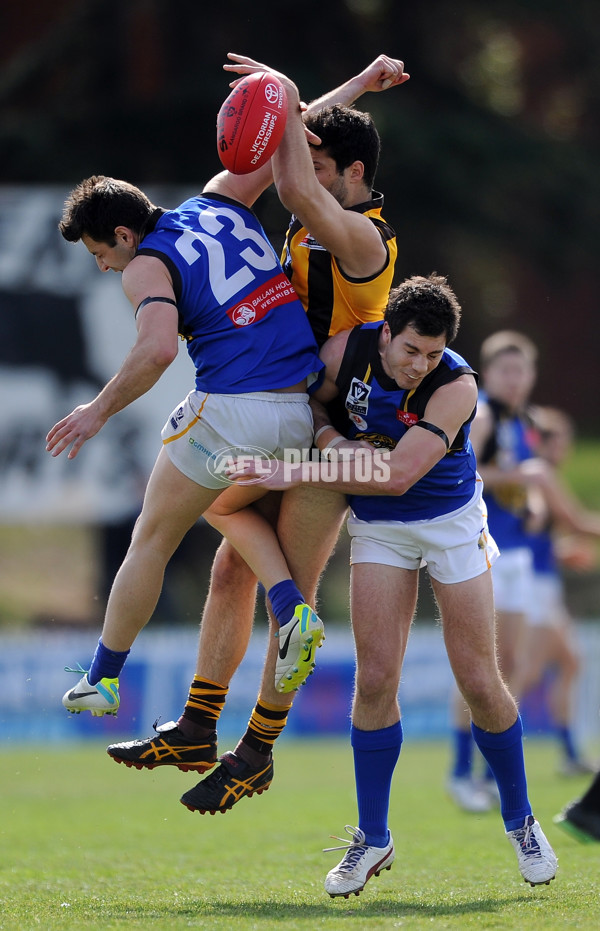 VFL 2013 1st Preliminary Final - Box Hill Hawks v Werribee Tigers - 303764