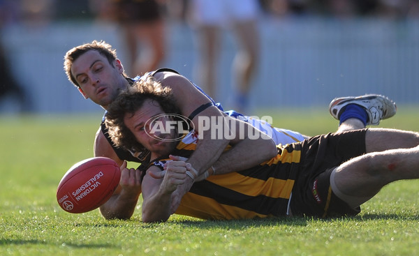 VFL 2013 1st Preliminary Final - Box Hill Hawks v Werribee Tigers - 303785