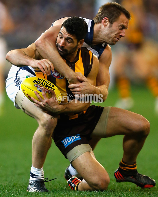 AFL 2013 1st Preliminary Final - Hawthorn v Geelong - 304168