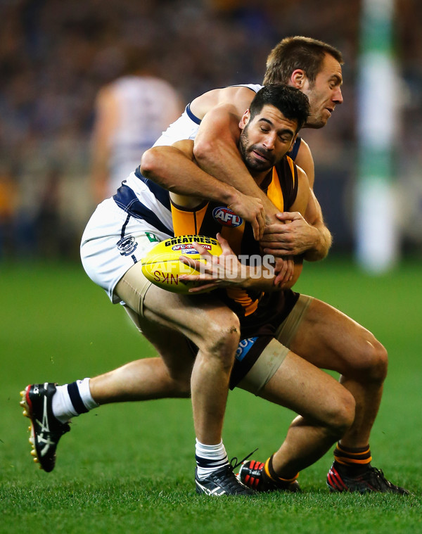 AFL 2013 1st Preliminary Final - Hawthorn v Geelong - 304167