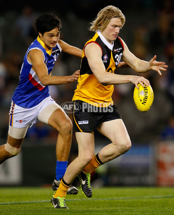 2013 TAC Cup Grand Final - Dandenong Stingrays v Eastern Ranges - 304365