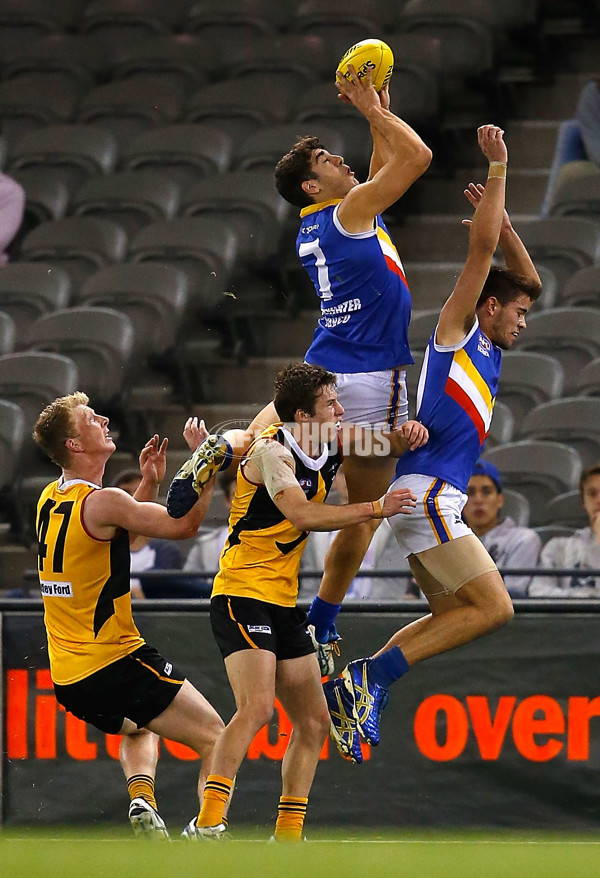 2013 TAC Cup Grand Final - Dandenong Stingrays v Eastern Ranges - 304338