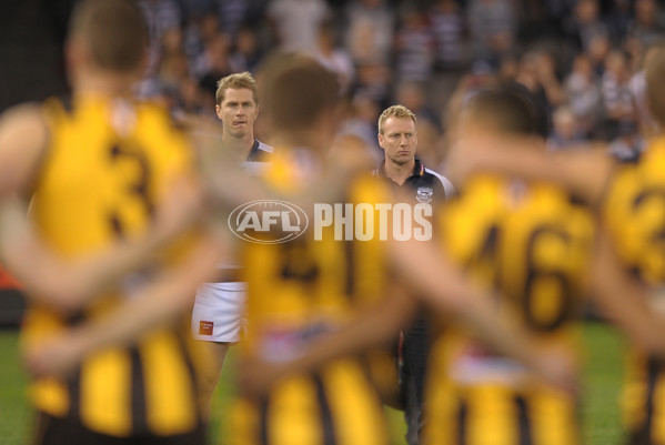 2013 VFL Grand Final - Geelong Cats v Box Hill Hawks - 304404