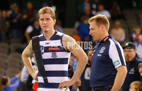 2013 VFL Grand Final - Geelong Cats v Box Hill Hawks - 304431