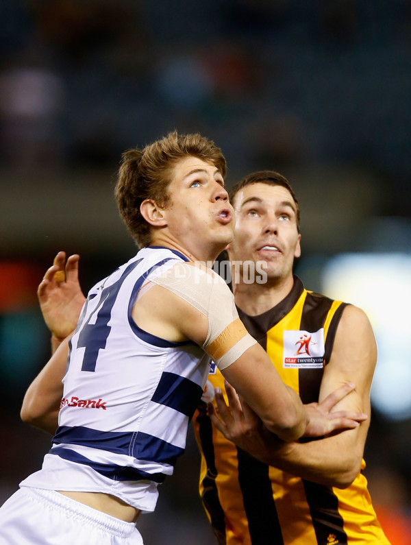 2013 VFL Grand Final - Geelong Cats v Box Hill Hawks - 304444