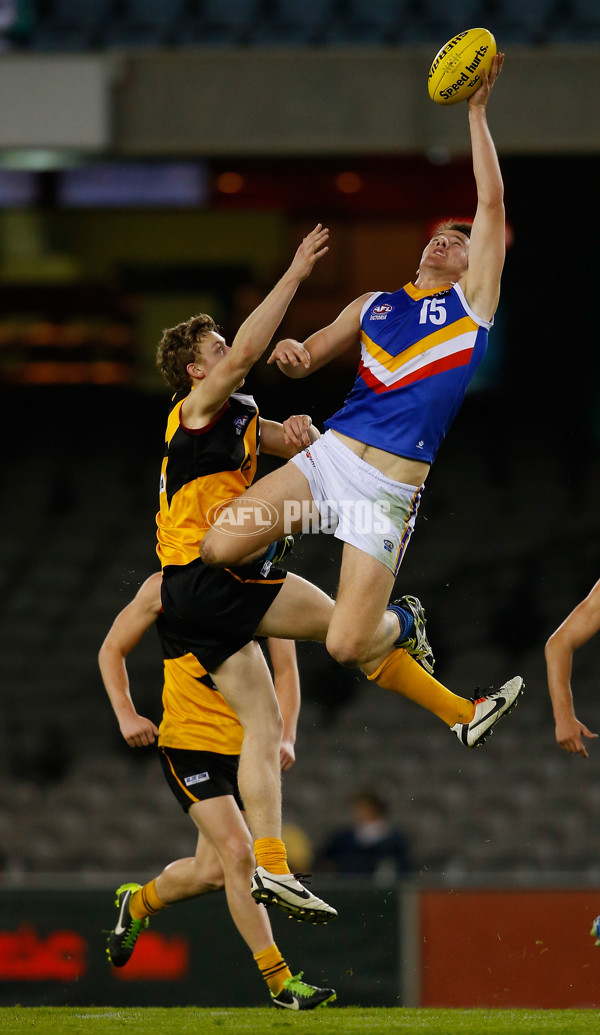 2013 TAC Cup Grand Final - Dandenong Stingrays v Eastern Ranges - 304339