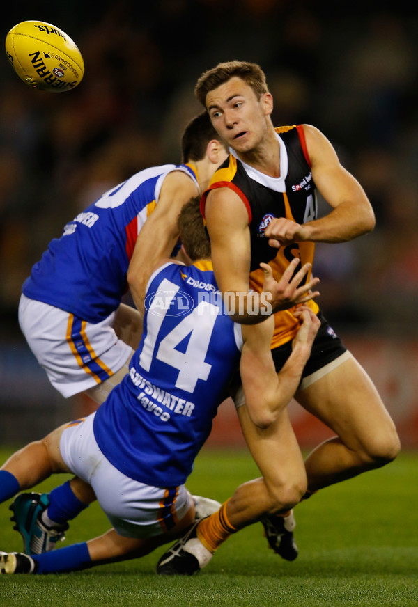 2013 TAC Cup Grand Final - Dandenong Stingrays v Eastern Ranges - 304337