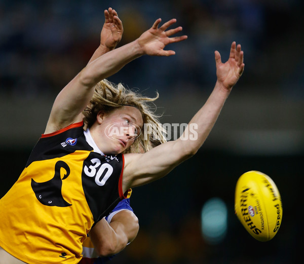 2013 TAC Cup Grand Final - Dandenong Stingrays v Eastern Ranges - 304361
