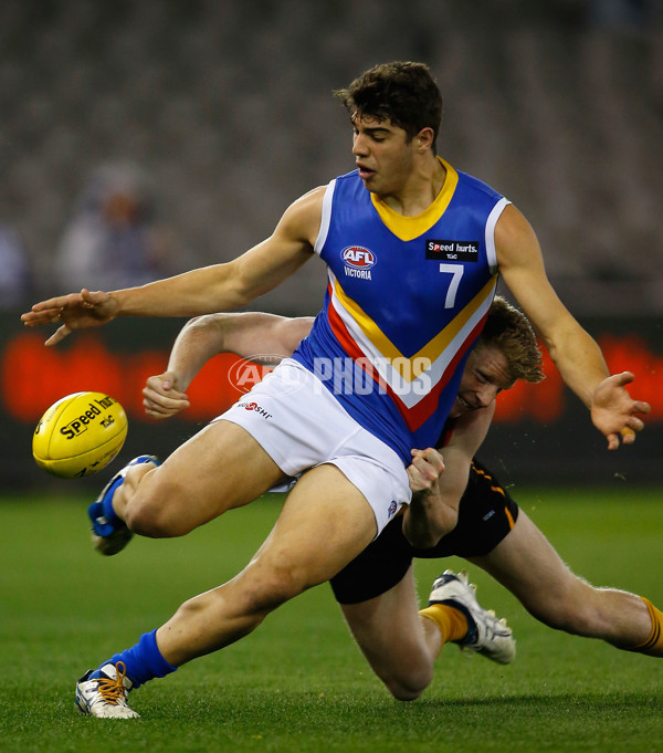 2013 TAC Cup Grand Final - Dandenong Stingrays v Eastern Ranges - 304360