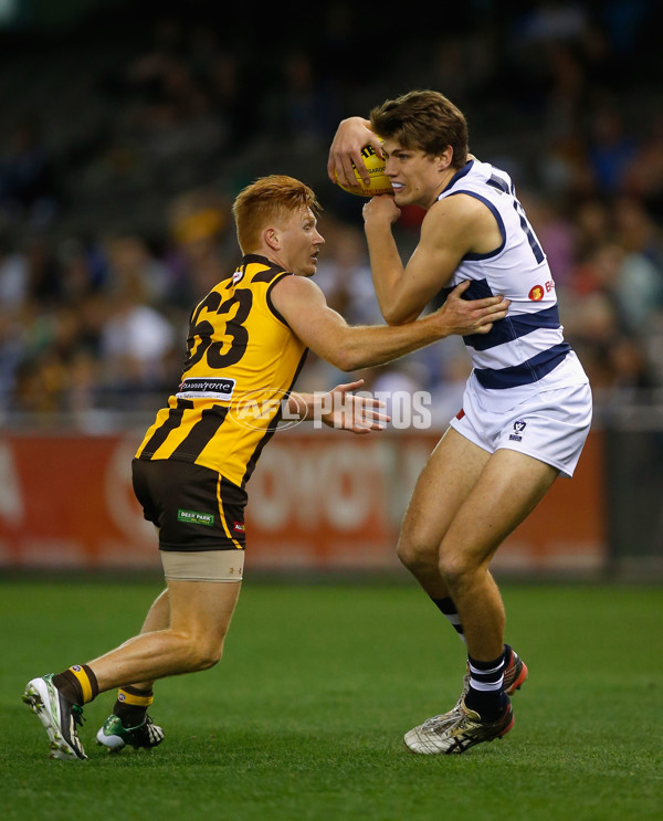 2013 VFL Grand Final - Geelong Cats v Box Hill Hawks - 304397