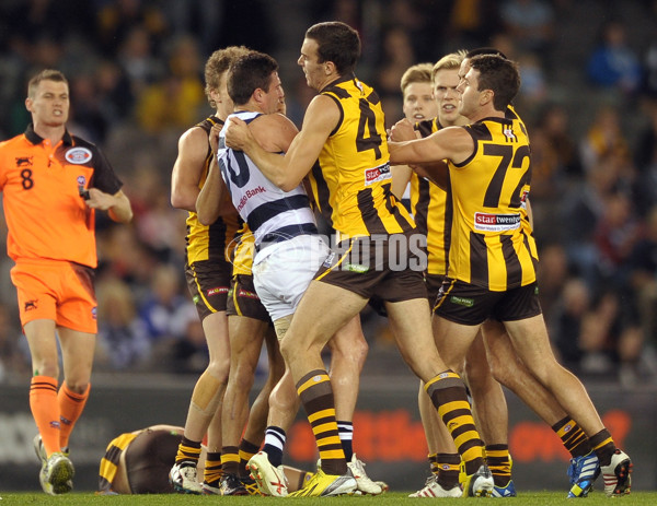 2013 VFL Grand Final - Geelong Cats v Box Hill Hawks - 304414