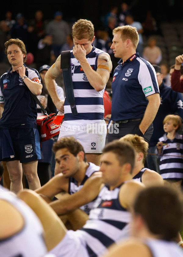 2013 VFL Grand Final - Geelong Cats v Box Hill Hawks - 304432