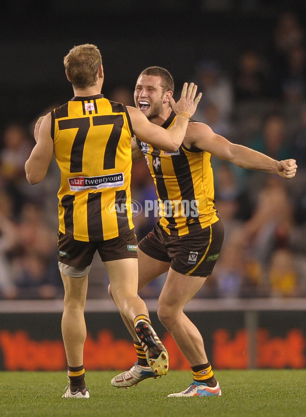 2013 VFL Grand Final - Geelong Cats v Box Hill Hawks - 304451