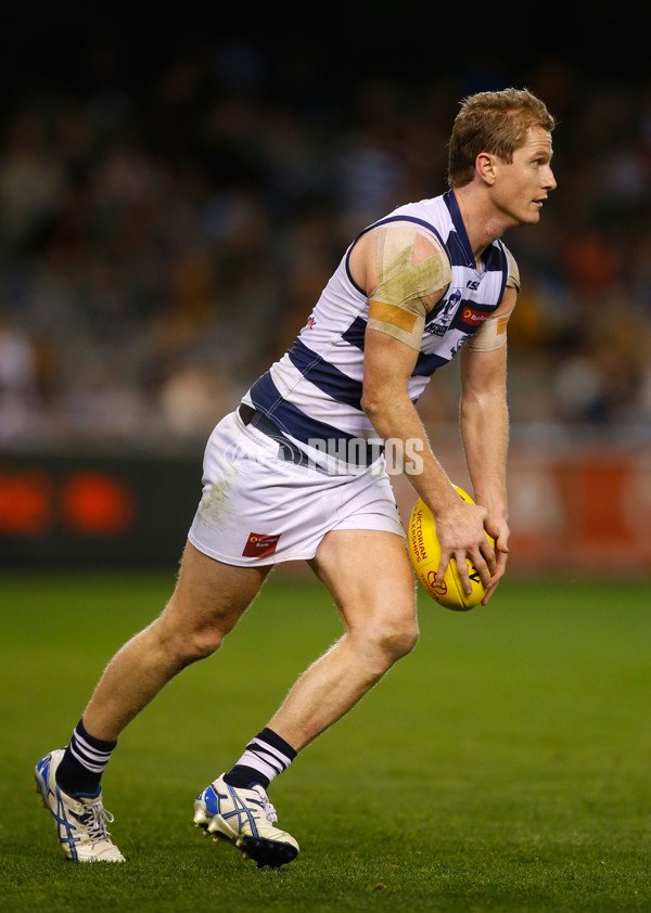 2013 VFL Grand Final - Geelong Cats v Box Hill Hawks - 304438