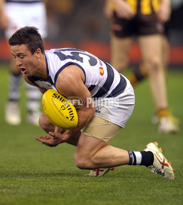 2013 VFL Grand Final - Geelong Cats v Box Hill Hawks - 304478