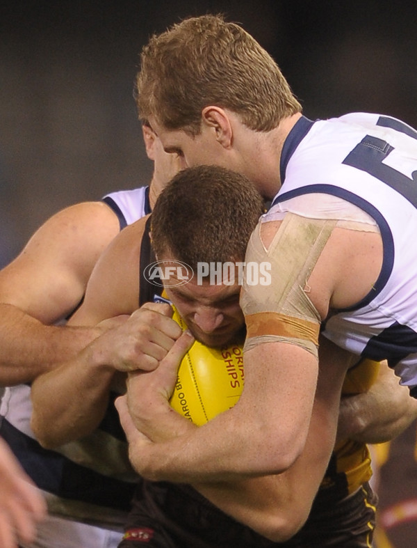 2013 VFL Grand Final - Geelong Cats v Box Hill Hawks - 304481