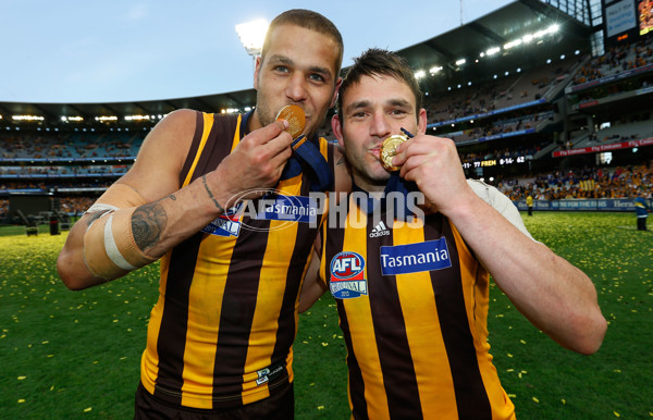 AFL 2013 Toyota Grand Final - Hawthorn v Fremantle - 305891