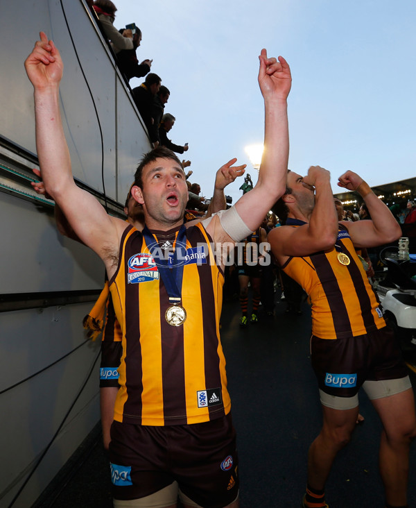 AFL 2013 Toyota Grand Final - Hawthorn v Fremantle - 305887