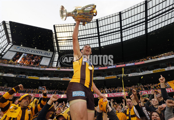 AFL 2013 Toyota Grand Final - Hawthorn v Fremantle - 305893