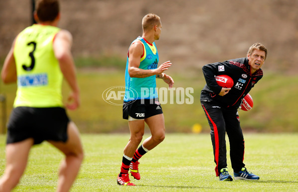 AFL 2013 Training - Essendon 291113 - 308793