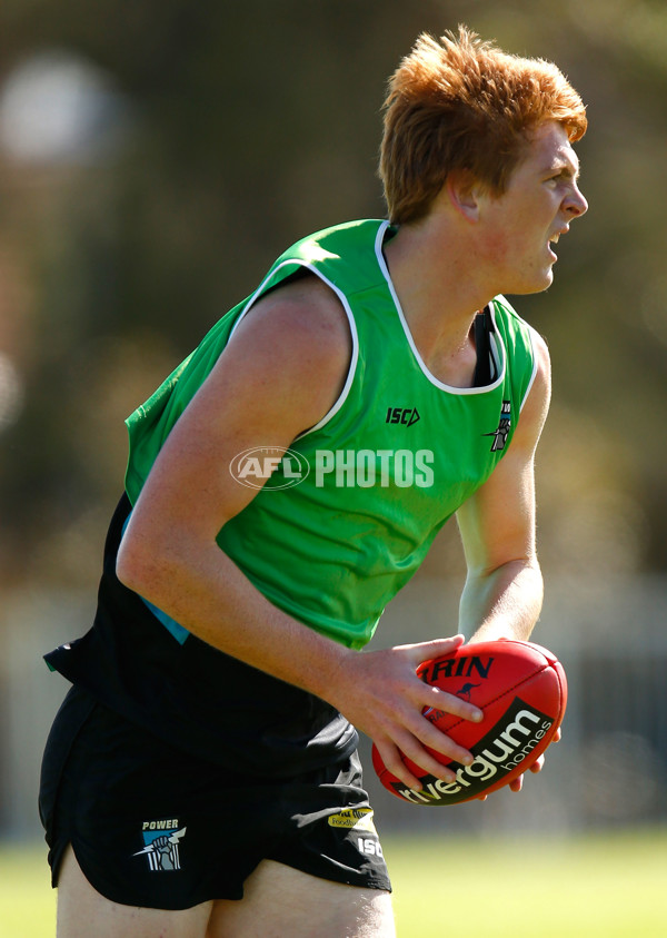 AFL 2013 Training - Port Adelaide 111213 - 309636