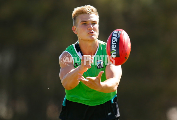 AFL 2013 Training - Port Adelaide 111213 - 309644