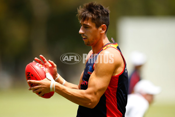 AFL 2013 Training - Adelaide 111213 - 309760