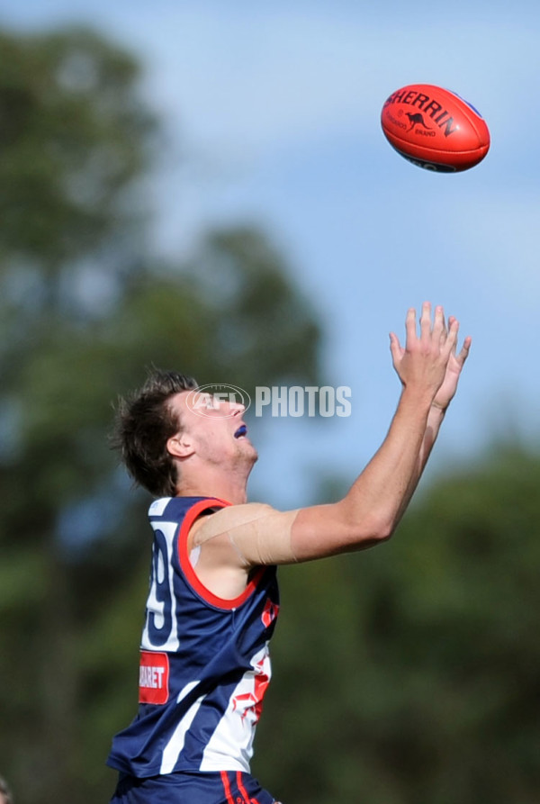 VFL 2012 Rd 03 - Casey Scorpians v Frankston - 252723