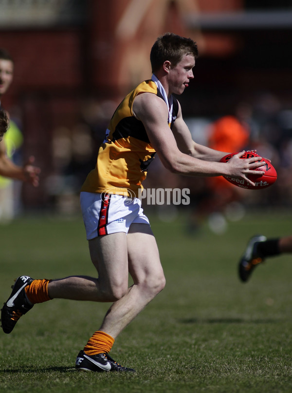 TAC 2012 Rd 04 - North Ballarat v Dandenong - 253095