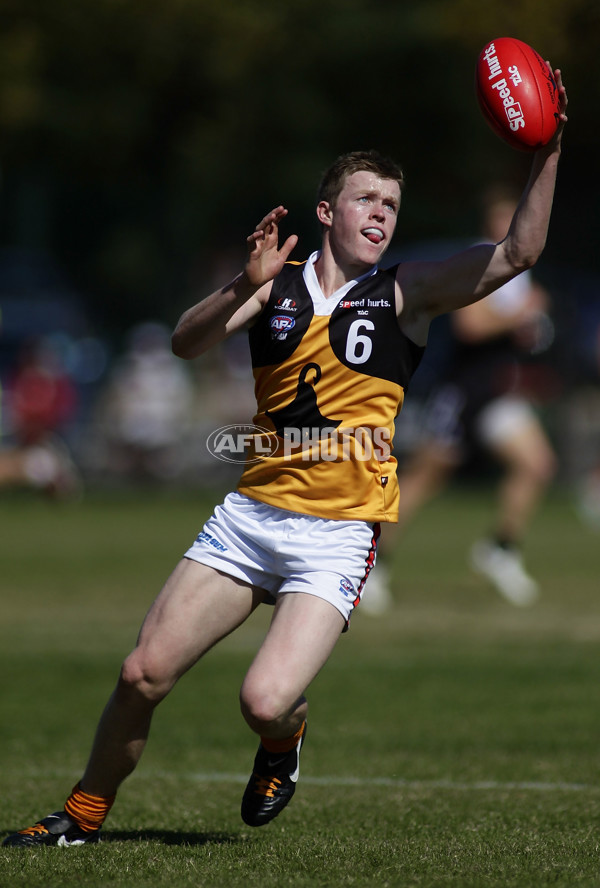 TAC 2012 Rd 04 - North Ballarat v Dandenong - 253104