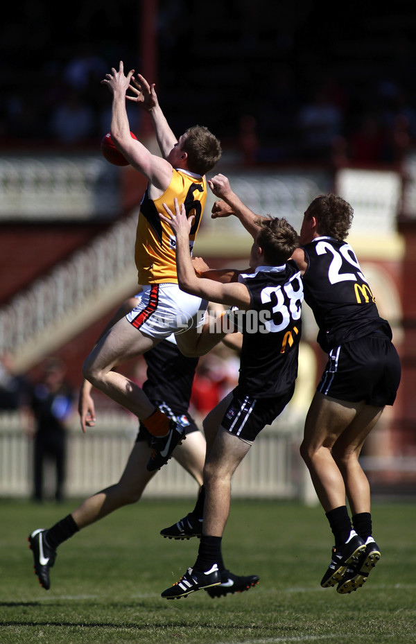 TAC 2012 Rd 04 - North Ballarat v Dandenong - 253138