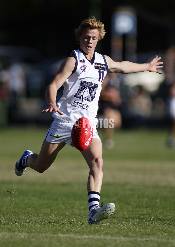 TAC 2012 Rd 04 - Murray Bushrangers v Geelong Falcons - 253204