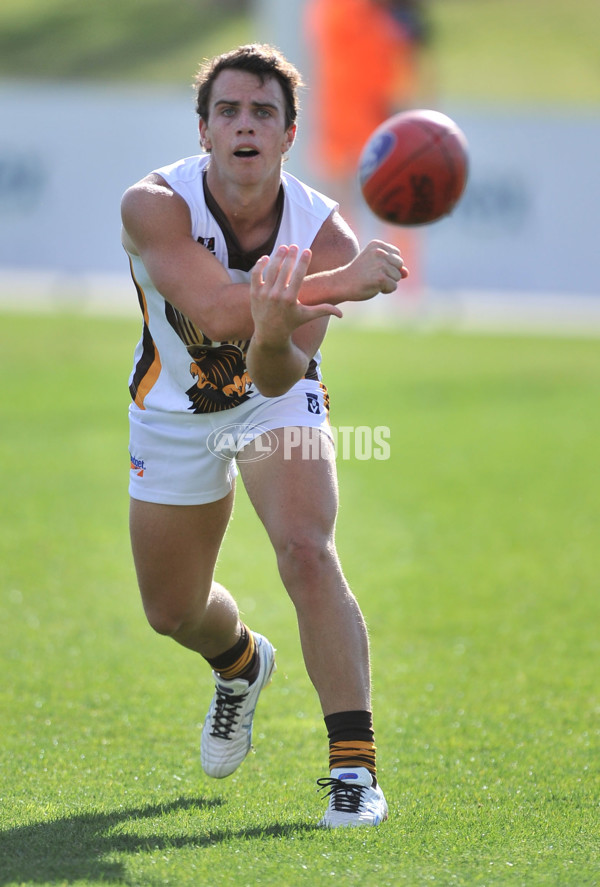 VFL 2012 Rd 06 - Coburg Tigers v Box Hill Hawks - 255176