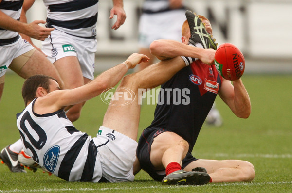 AFL 2012 Rd 06 - Geelong v Melbourne - 255953