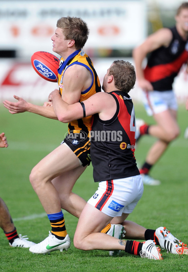 VFL 2012 Rd 07 - Sandringham v Bendigo - 256350