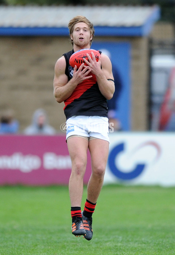 VFL 2012 Rd 07 - Sandringham v Bendigo - 256422