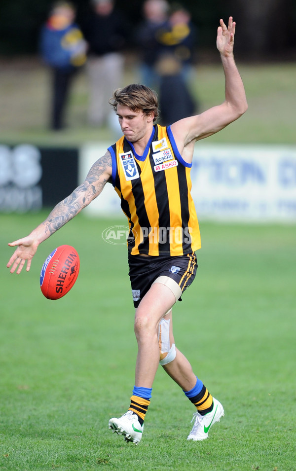 VFL 2012 Rd 07 - Sandringham v Bendigo - 256351