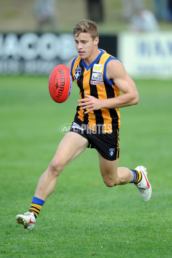 VFL 2012 Rd 07 - Sandringham v Bendigo - 256353