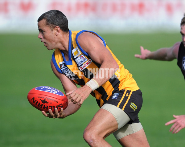 VFL 2012 Rd 07 - Sandringham v Bendigo - 256434