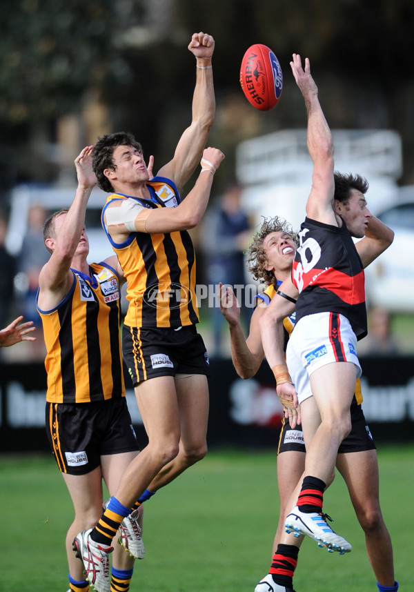 VFL 2012 Rd 07 - Sandringham v Bendigo - 256438