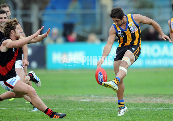 VFL 2012 Rd 07 - Sandringham v Bendigo - 256430