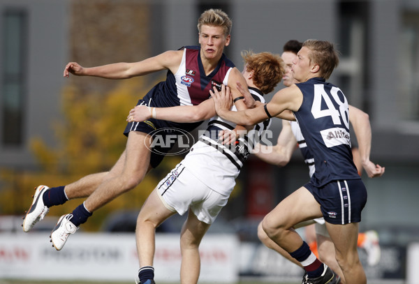 TAC 2012 Rd 07 - Northern Knights v Sandringham Dragons - 256862