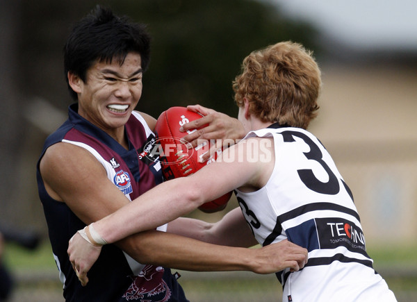 TAC 2012 Rd 07 - Northern Knights v Sandringham Dragons - 256836