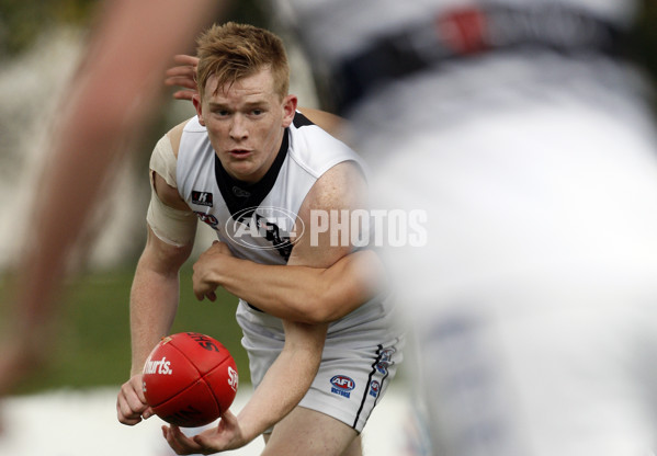 TAC 2012 Rd 07 - Northern Knights v Sandringham Dragons - 256835